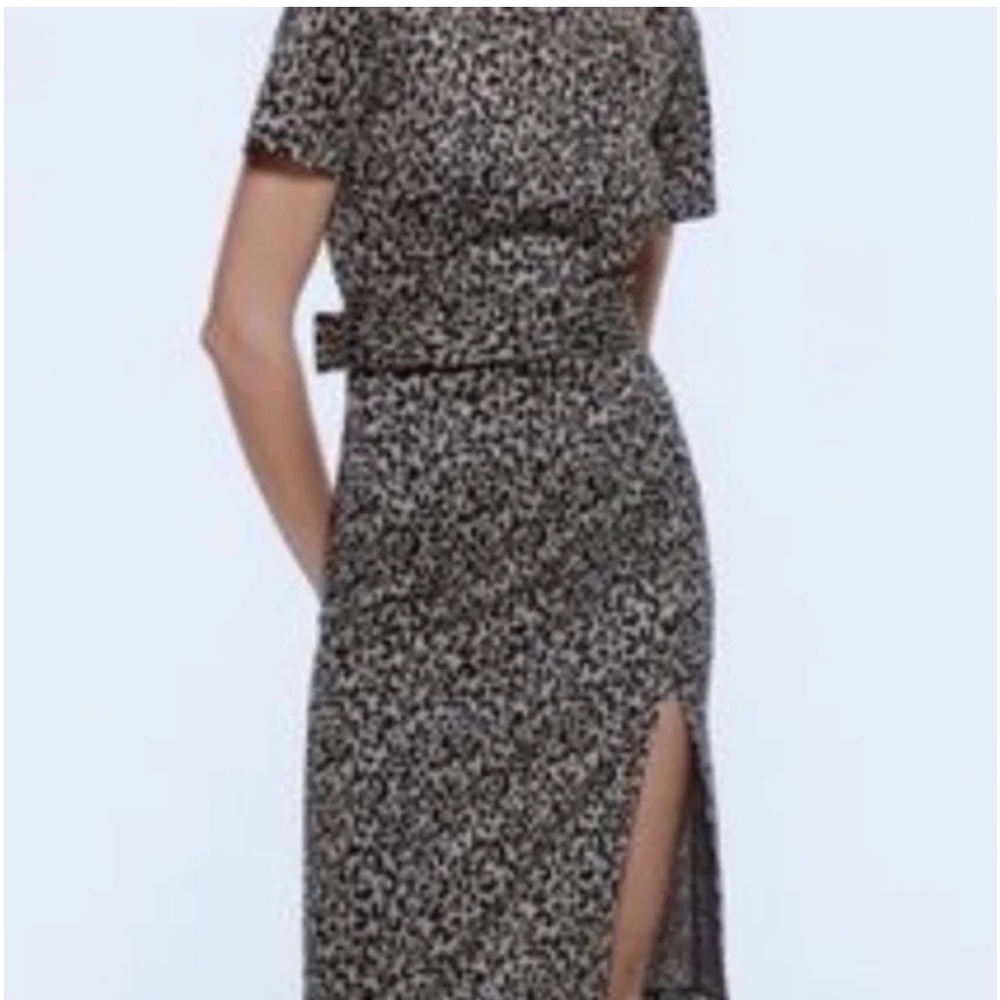 Zara Dress